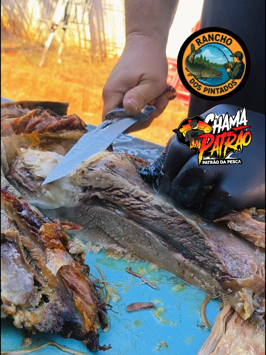 @Patr&atilde;o da Pesca