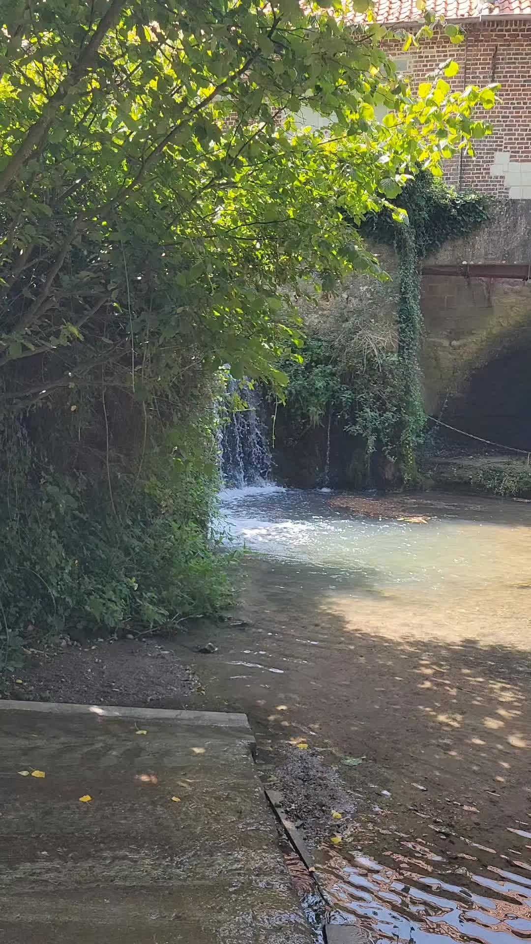 @🐬💚 𝓢𝓪𝓫𝔂 𝓝𝓸𝓾𝓻𝓻𝔂 ✨🌺
