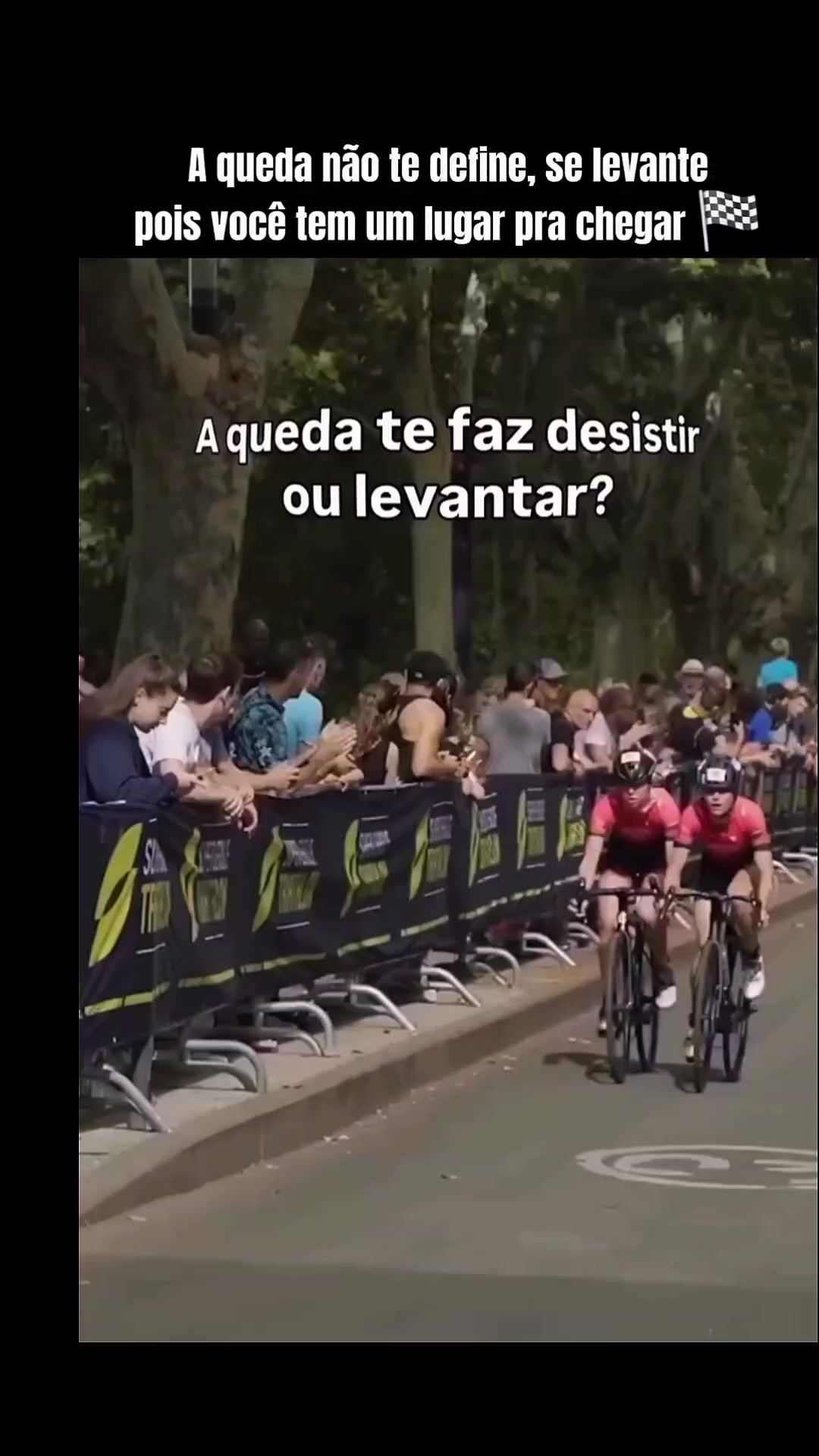 @Leandro Cotrim (123)