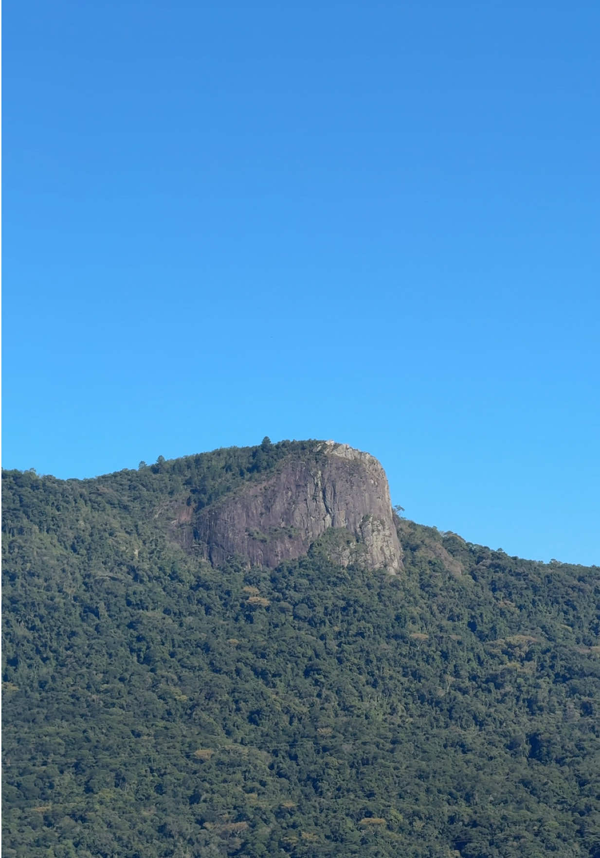 @NEGOH TUBY OFICIAL