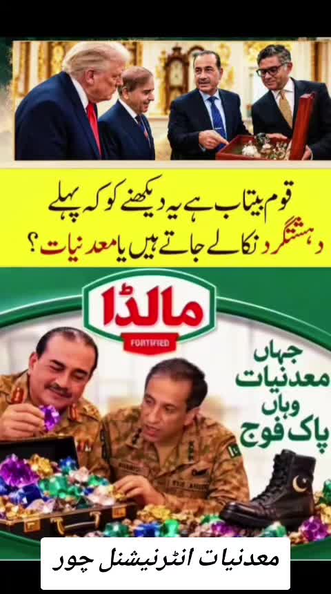 @اڈیالہ 804