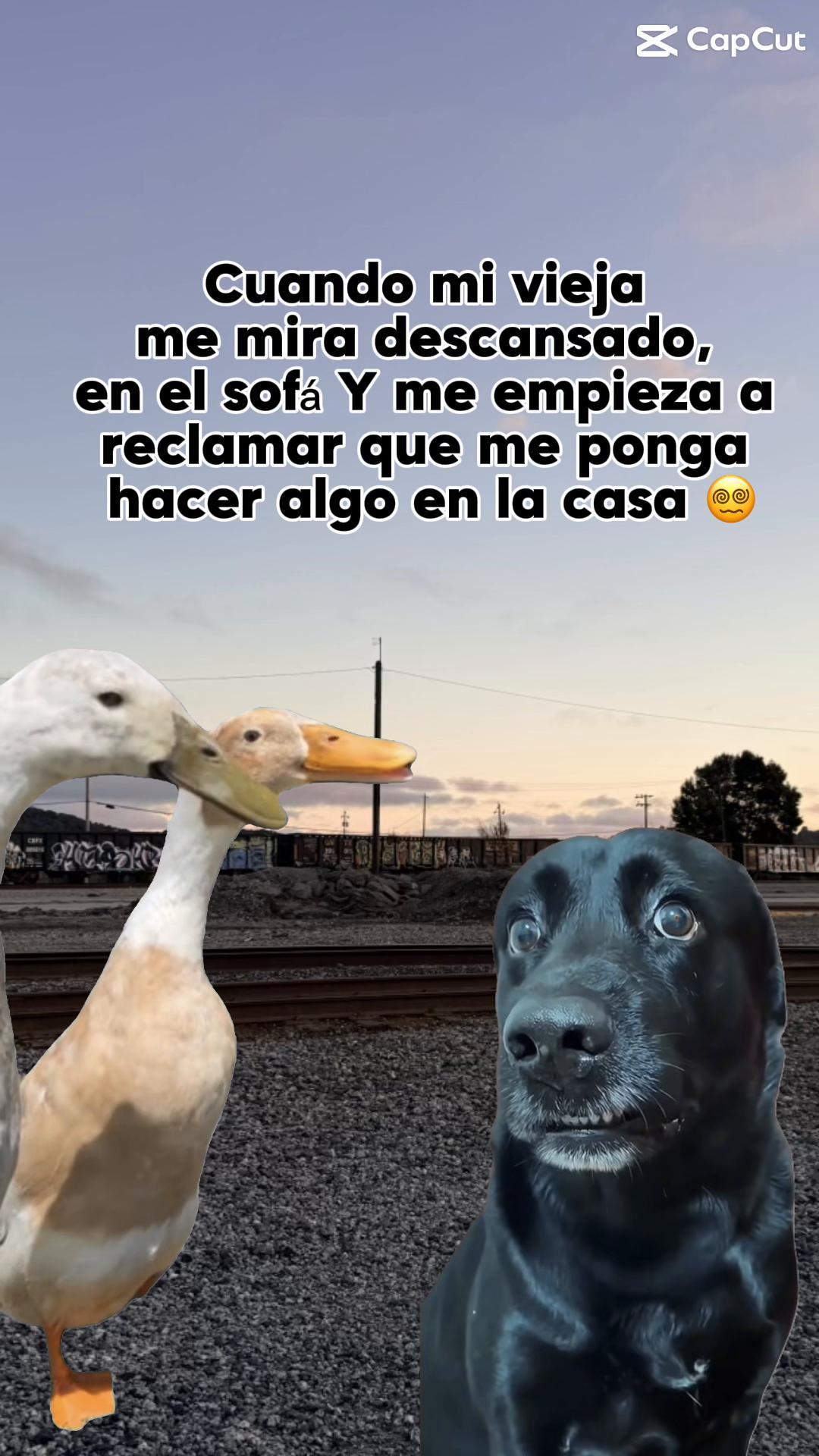 @𝓐𝓝𝓖𝓔𝓛𝓔𝓢 𝓨 𝓙𝓞𝓗𝓐𝓝