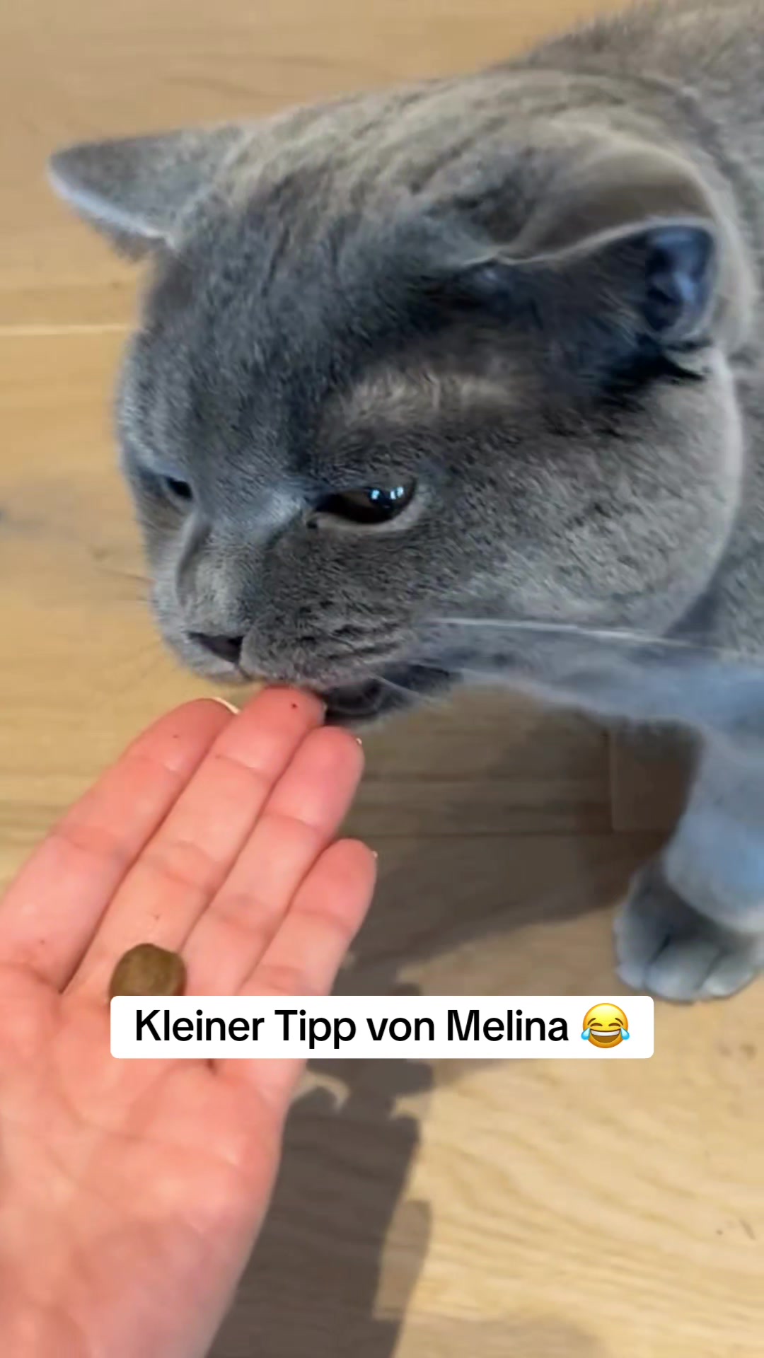 @usualxmeme