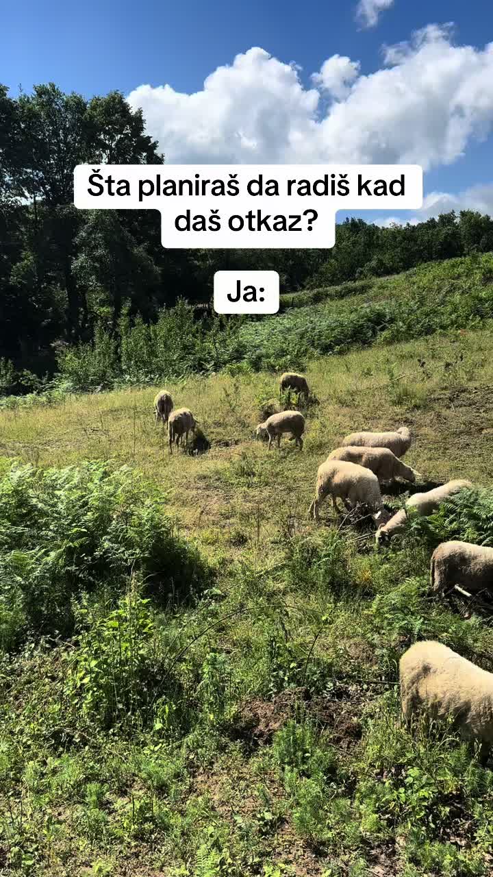 @сандра 🇷🇸