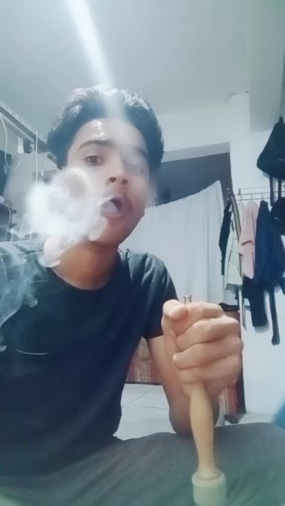 @gulfamdogar265