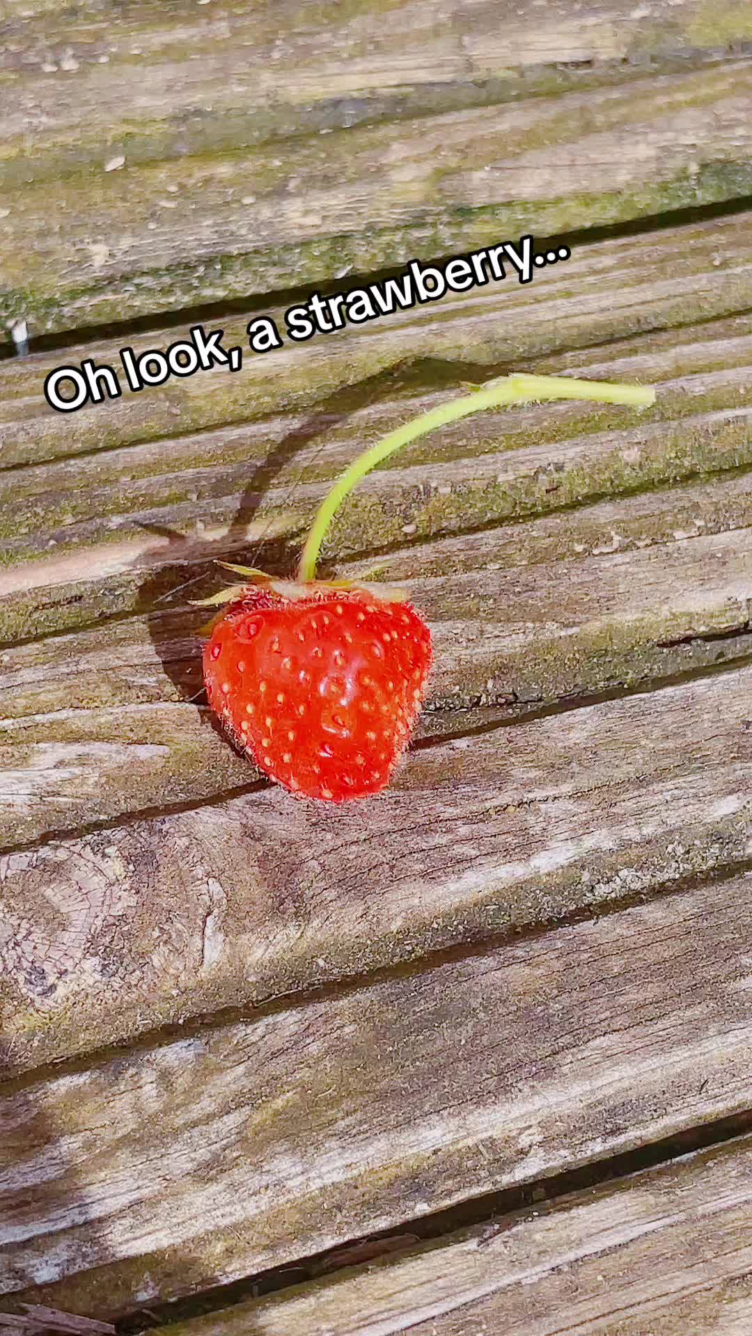 @Pink
