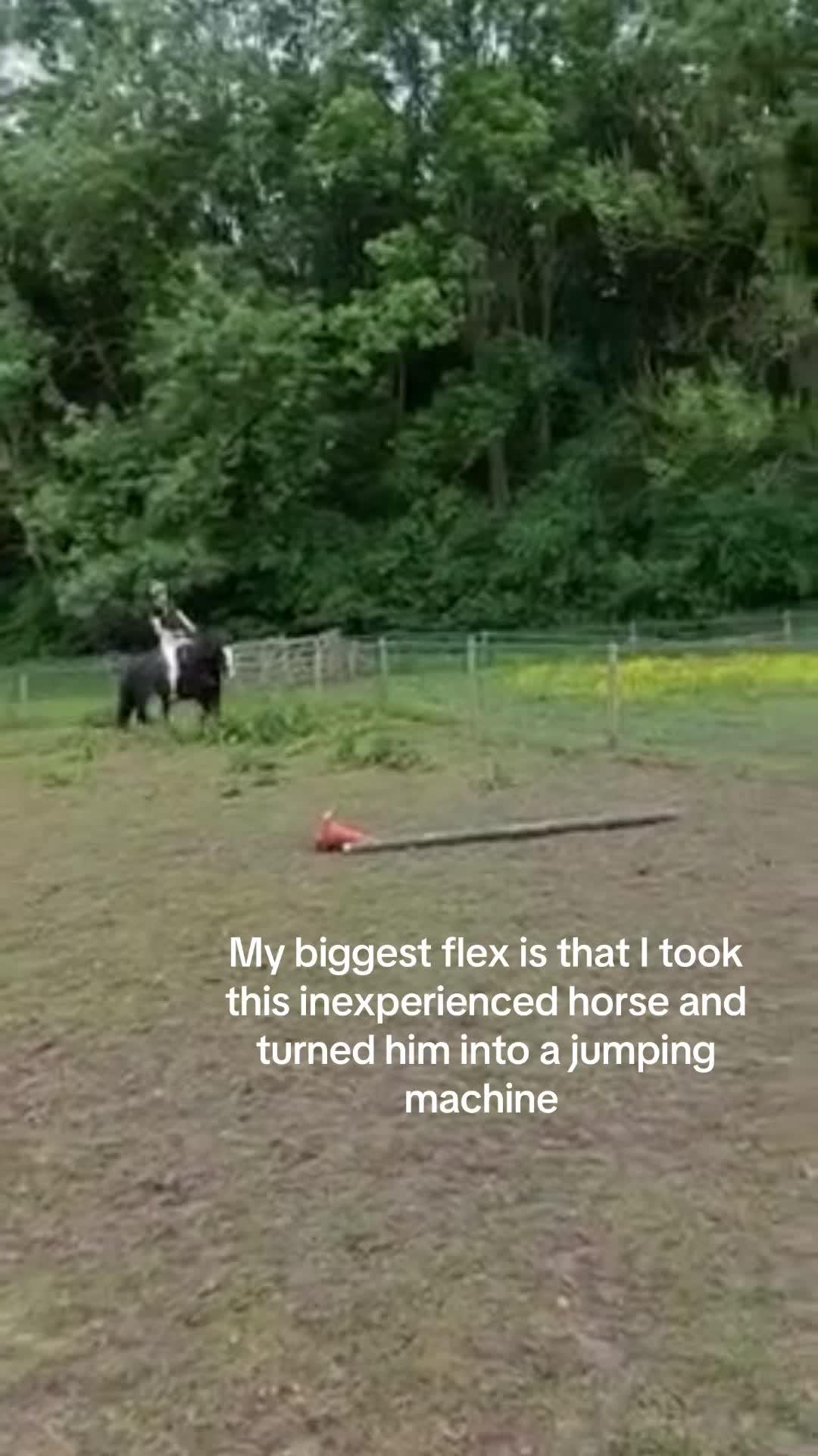 @Nikki 🐾🖤