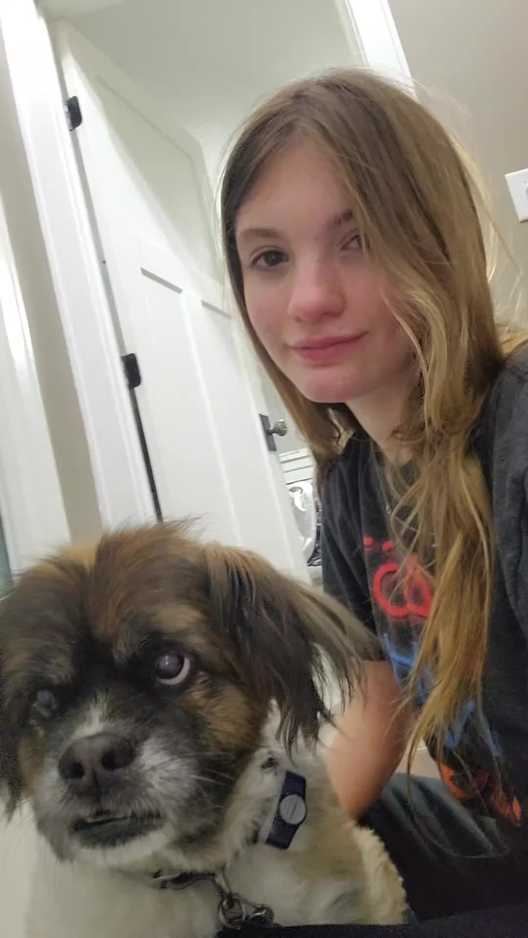 @brookeshultz705