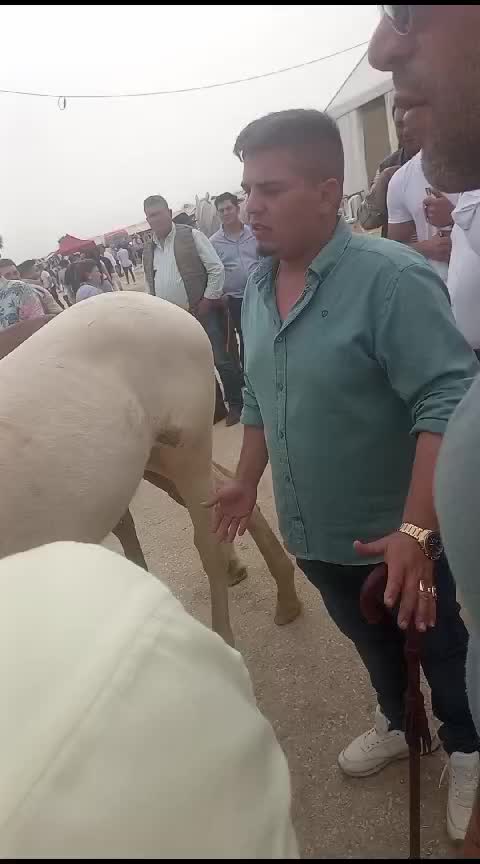 @eulogiomorenofernandez