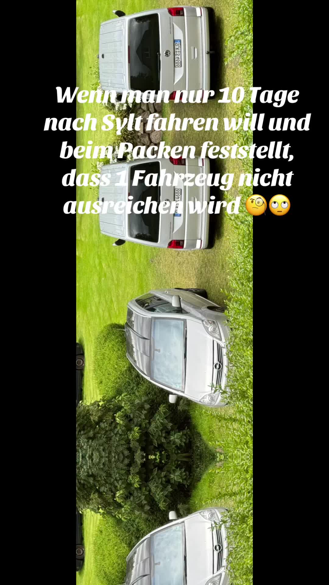 @FreestylerM.S.