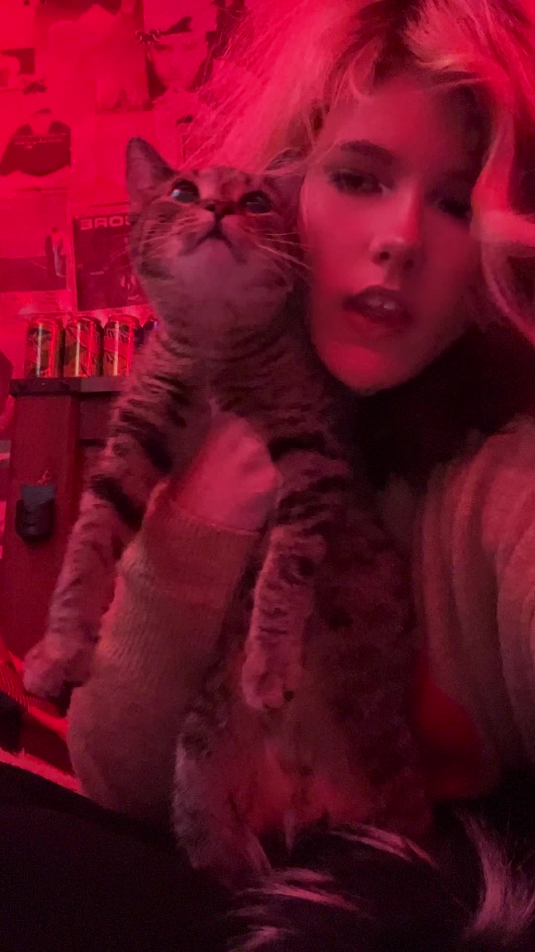 @🤡_Peek_A_Boo_🤡
