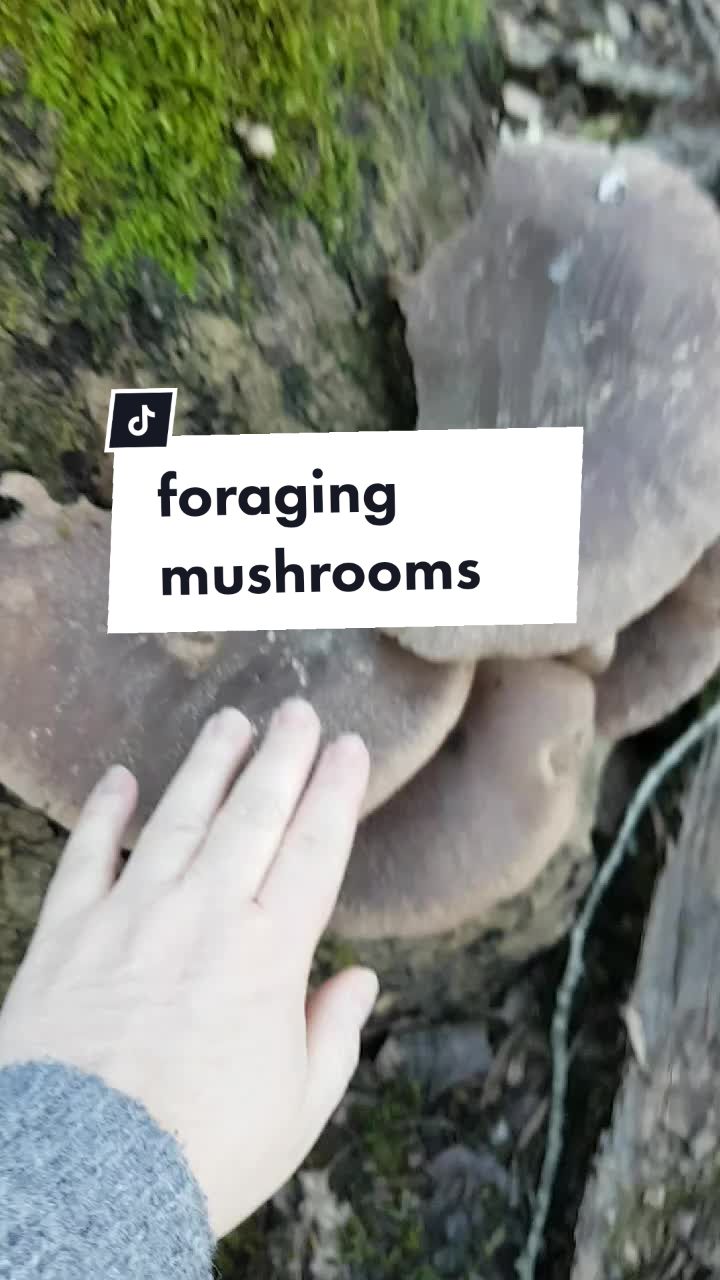 @Stacey | Slow Folk