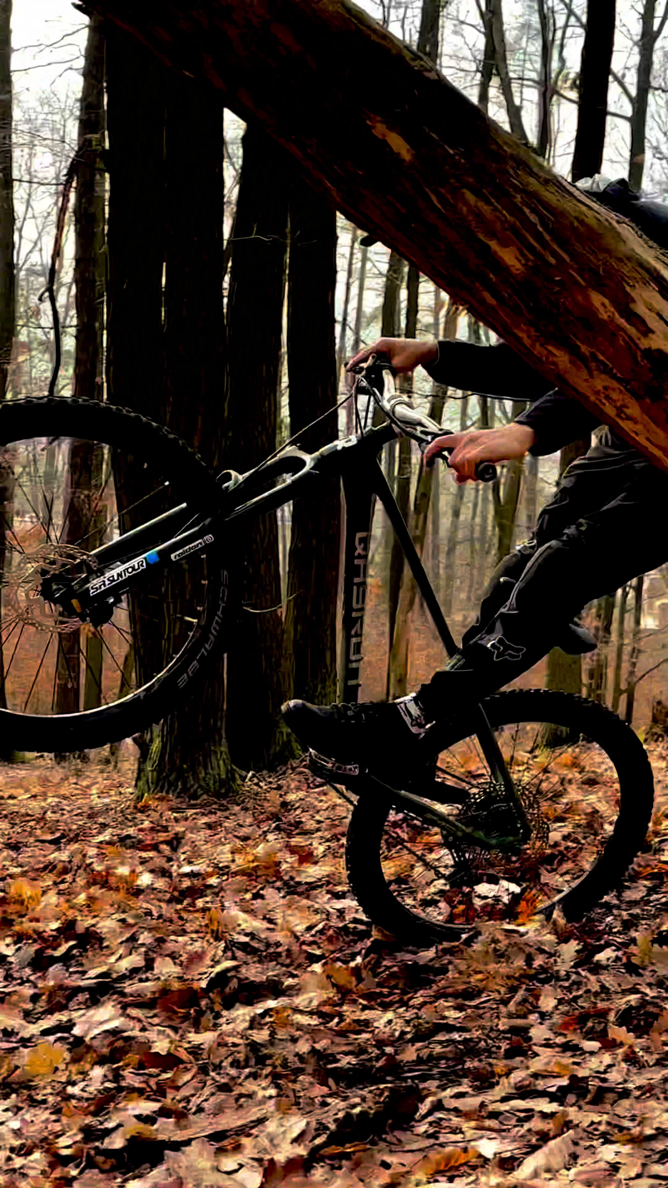 @www.JOYBIKE.cz