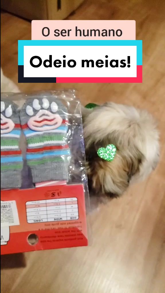@Mel Spacemoon 🐶🐾