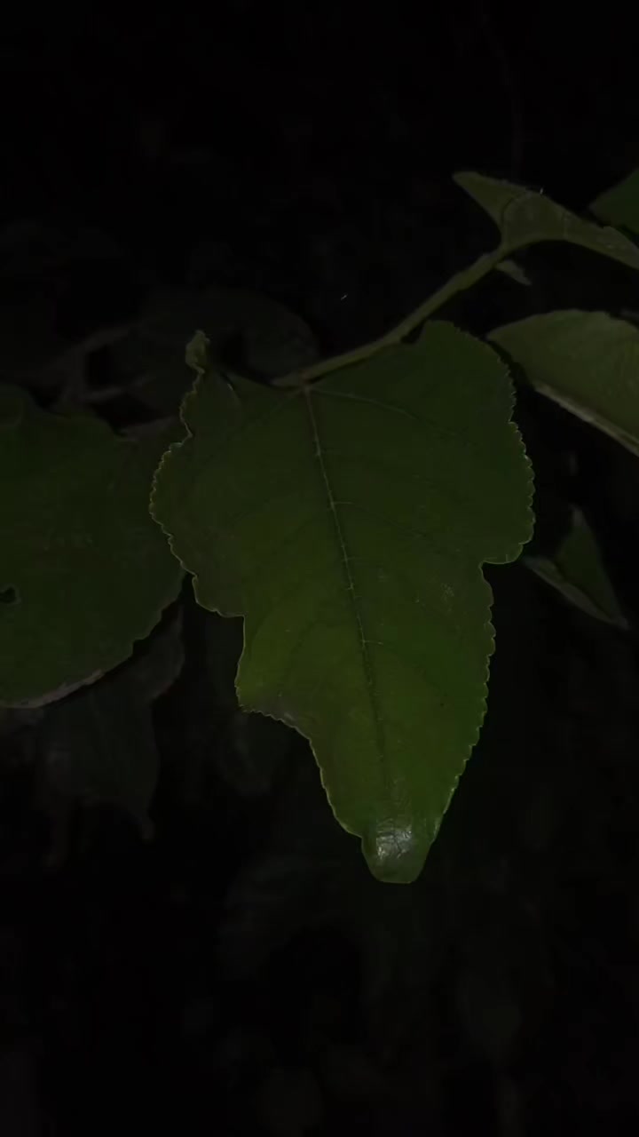 @𝑬 𝑴 𝑨 𝑵 ♥️