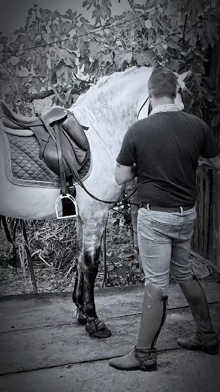 @pietrocanino