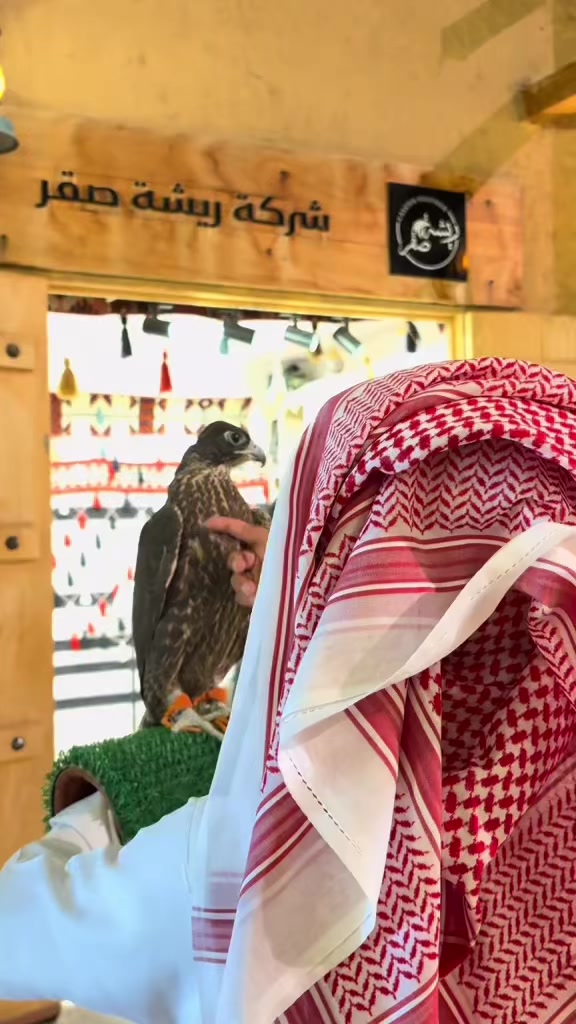 @ريشة صقر