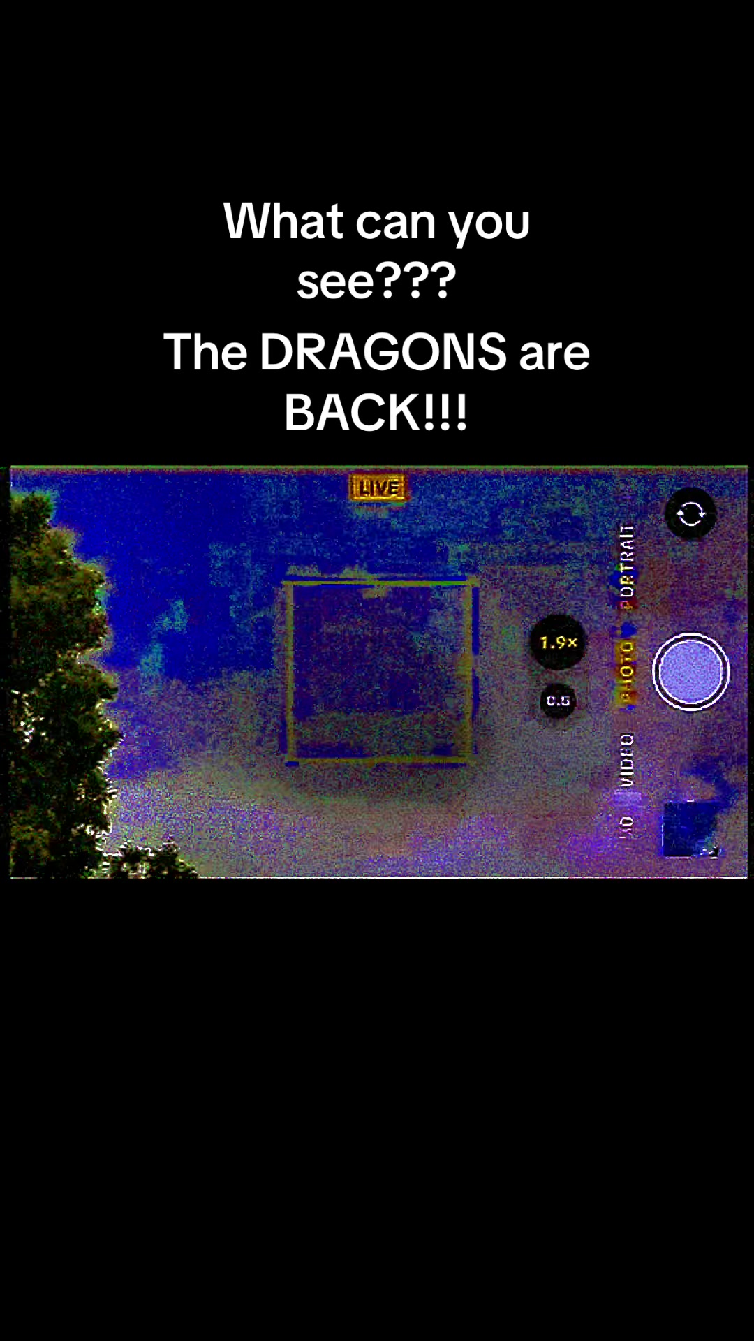@girlseesdragons