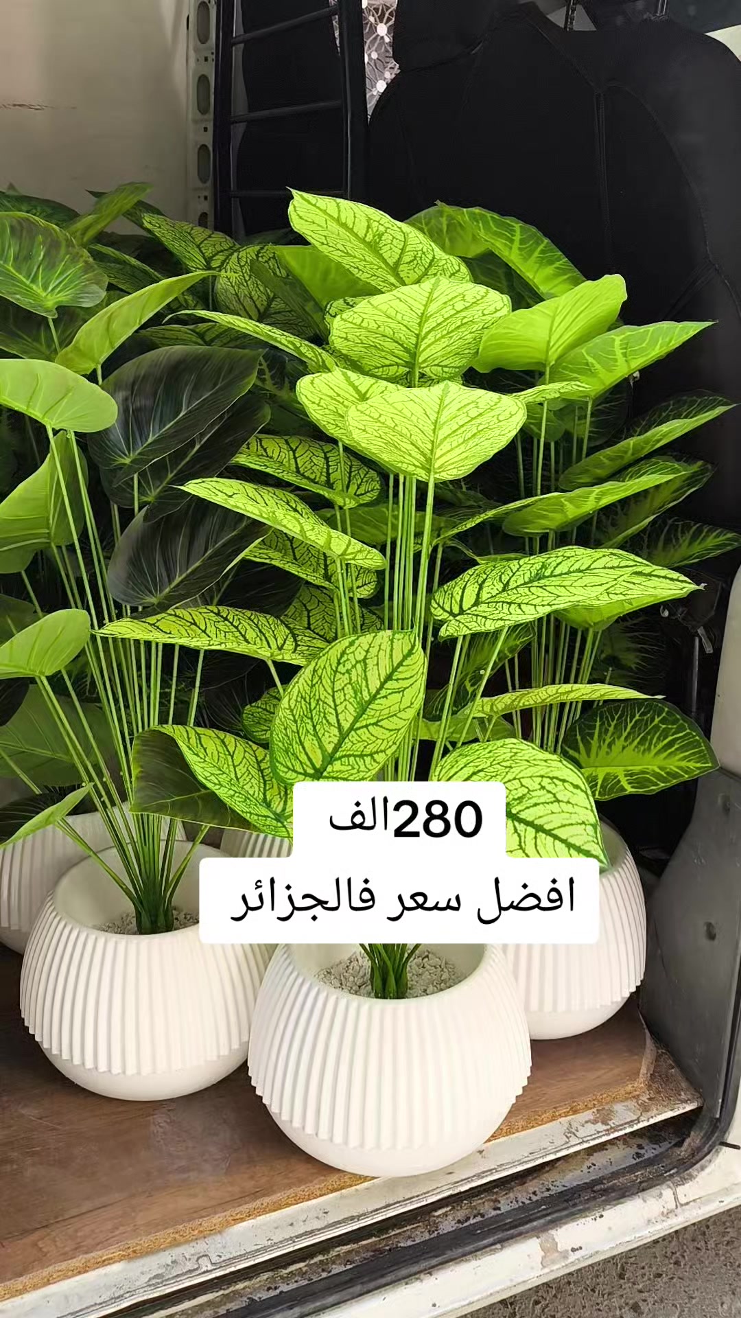 @ولاد العلمة للاواني المنزلية05