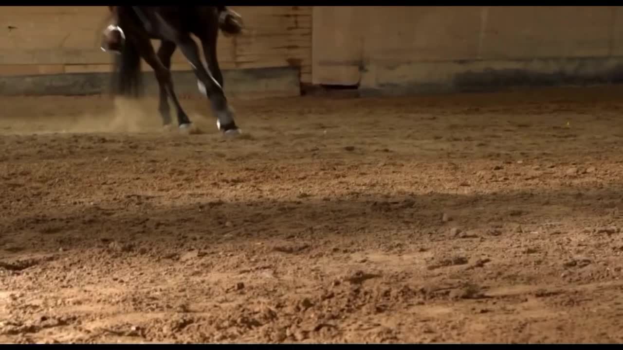 @🏇🏻 нorѕe rιdιng 🏇🏻