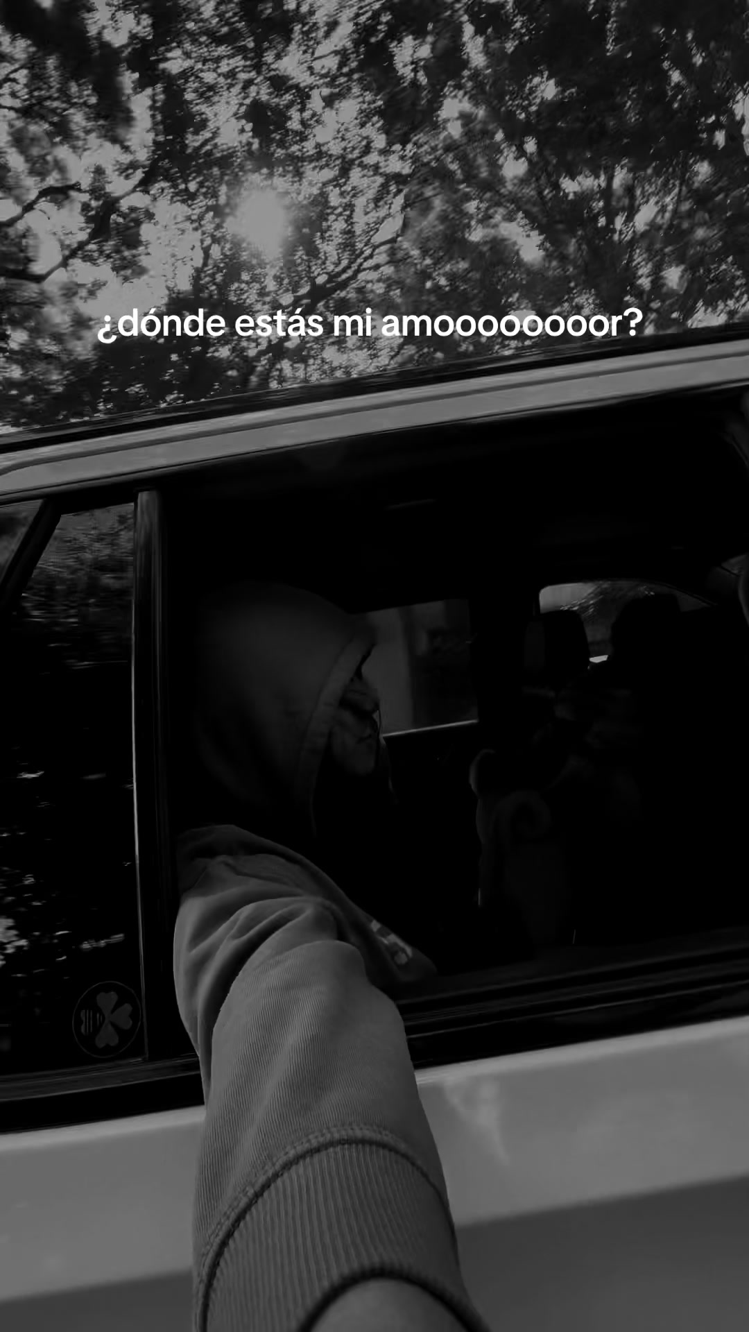 @gabrielameza