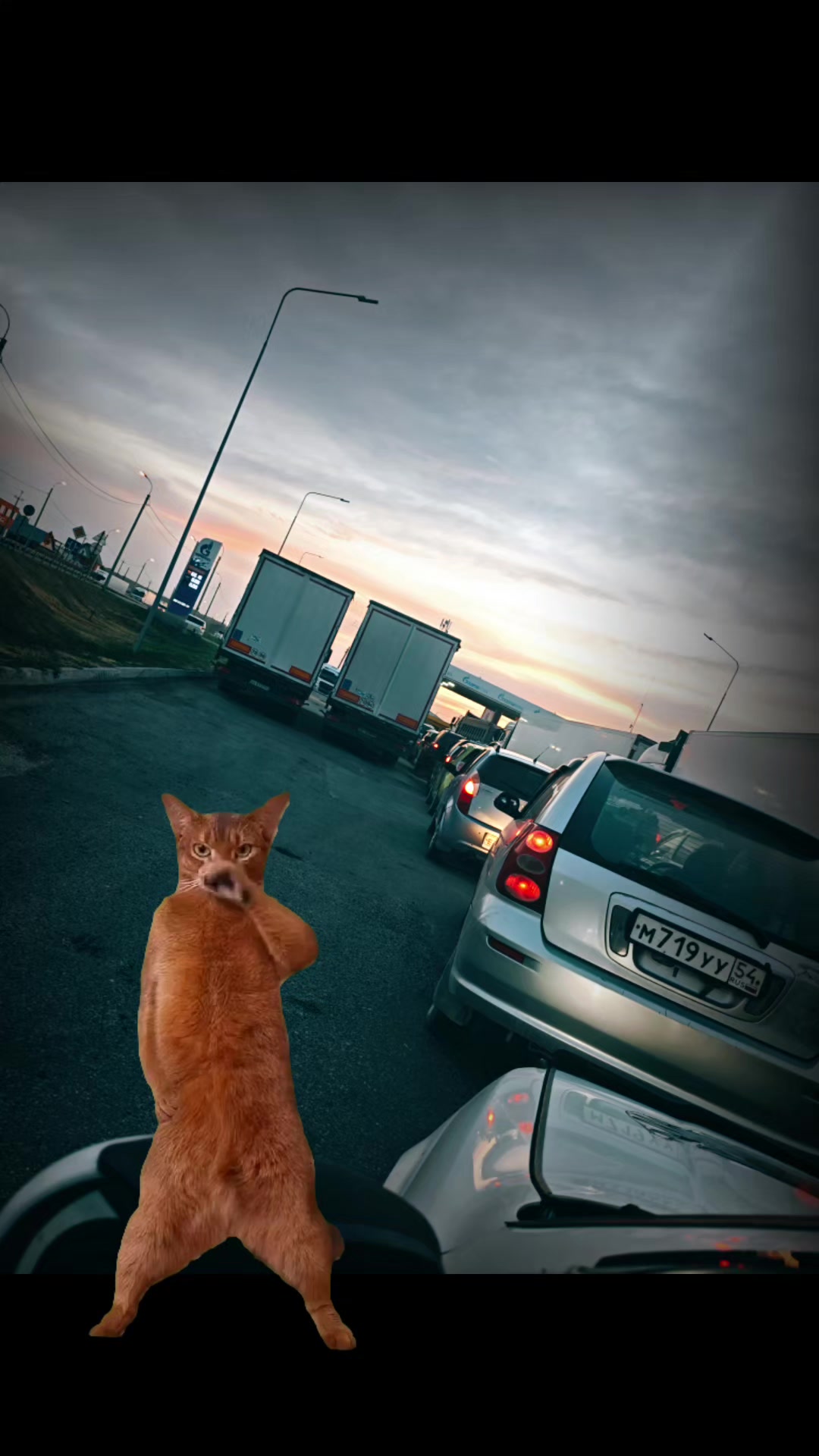 @Александра Подкопаева