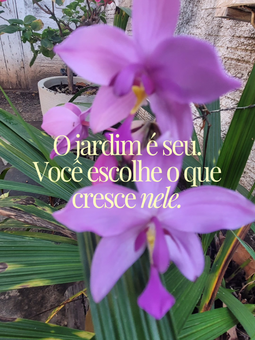 @Elaine Oliveira