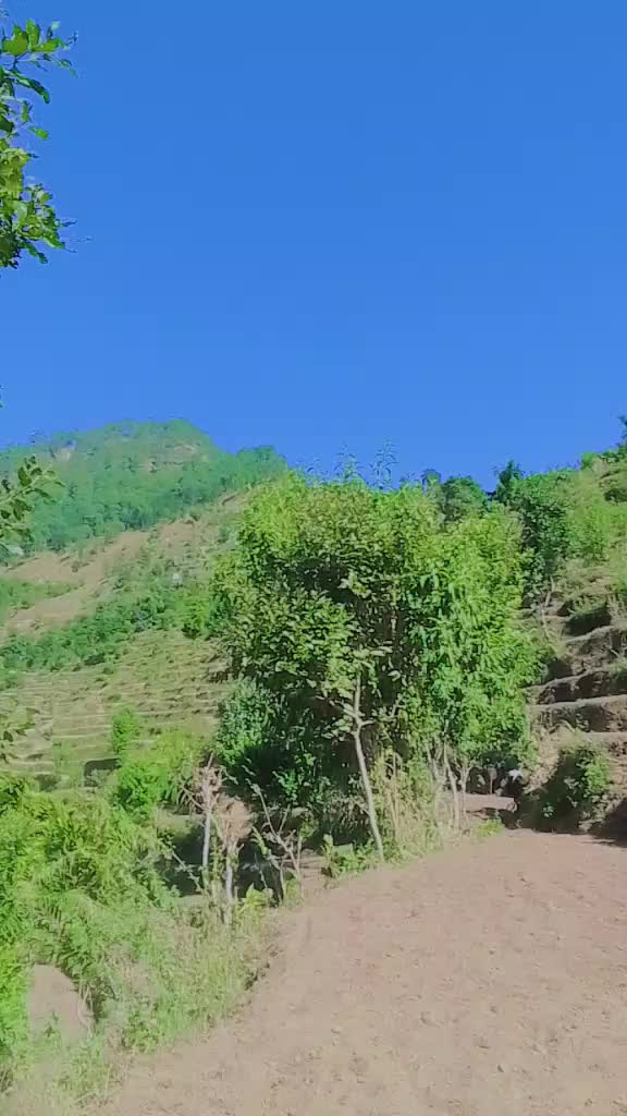 @lhanaka. Khana aknb kahabnjhah