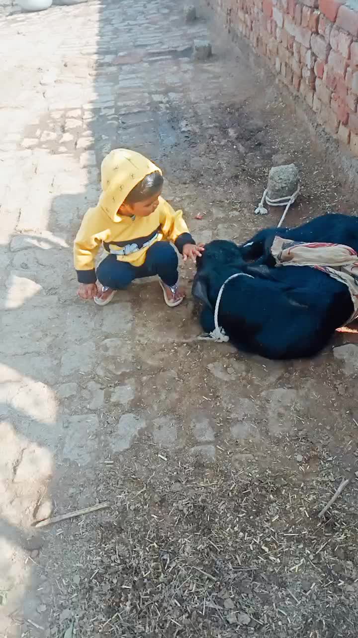 @user5073788121858