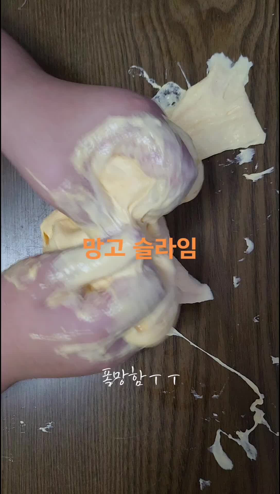 @차니하니_chanihani