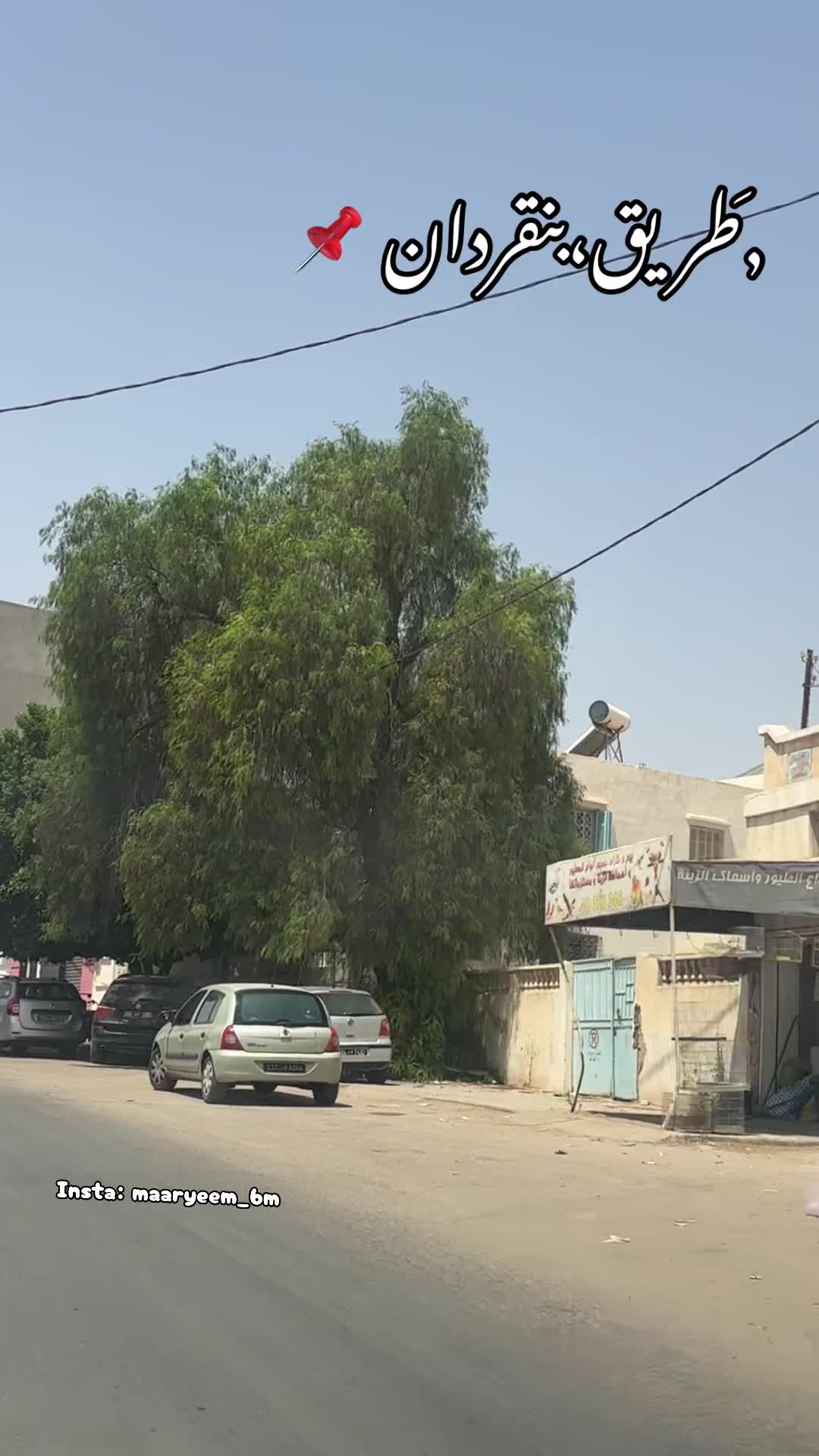 @بنت الجنوب🇹🇳🇵🇸