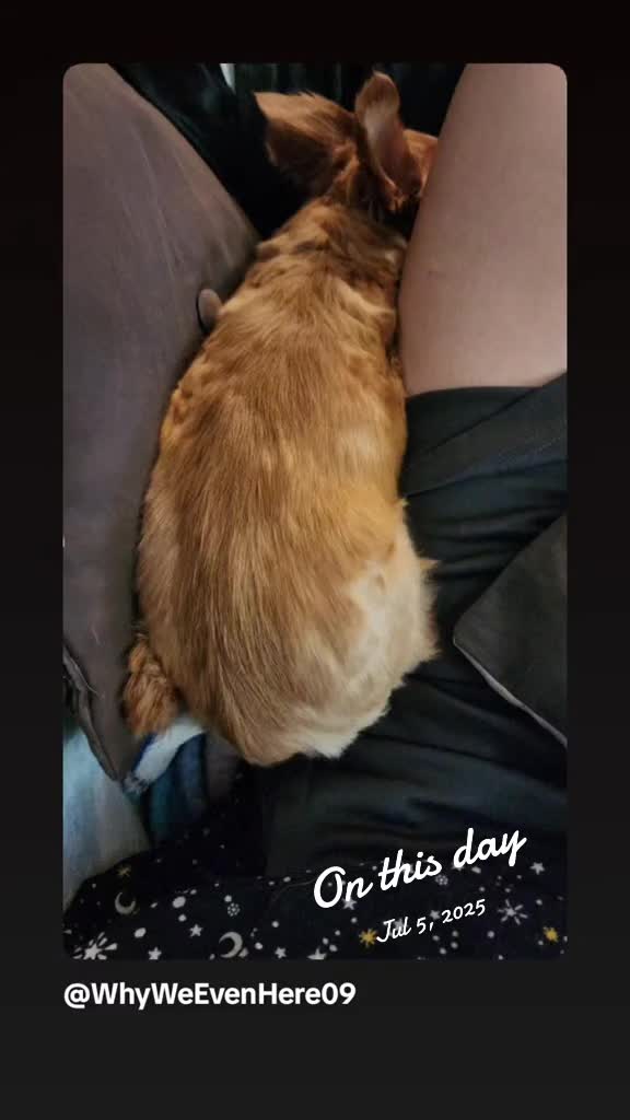 @WhyWeEvenHere09
