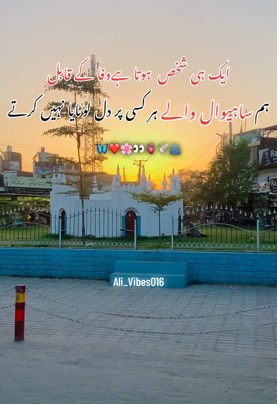 @Ali_Vibes016