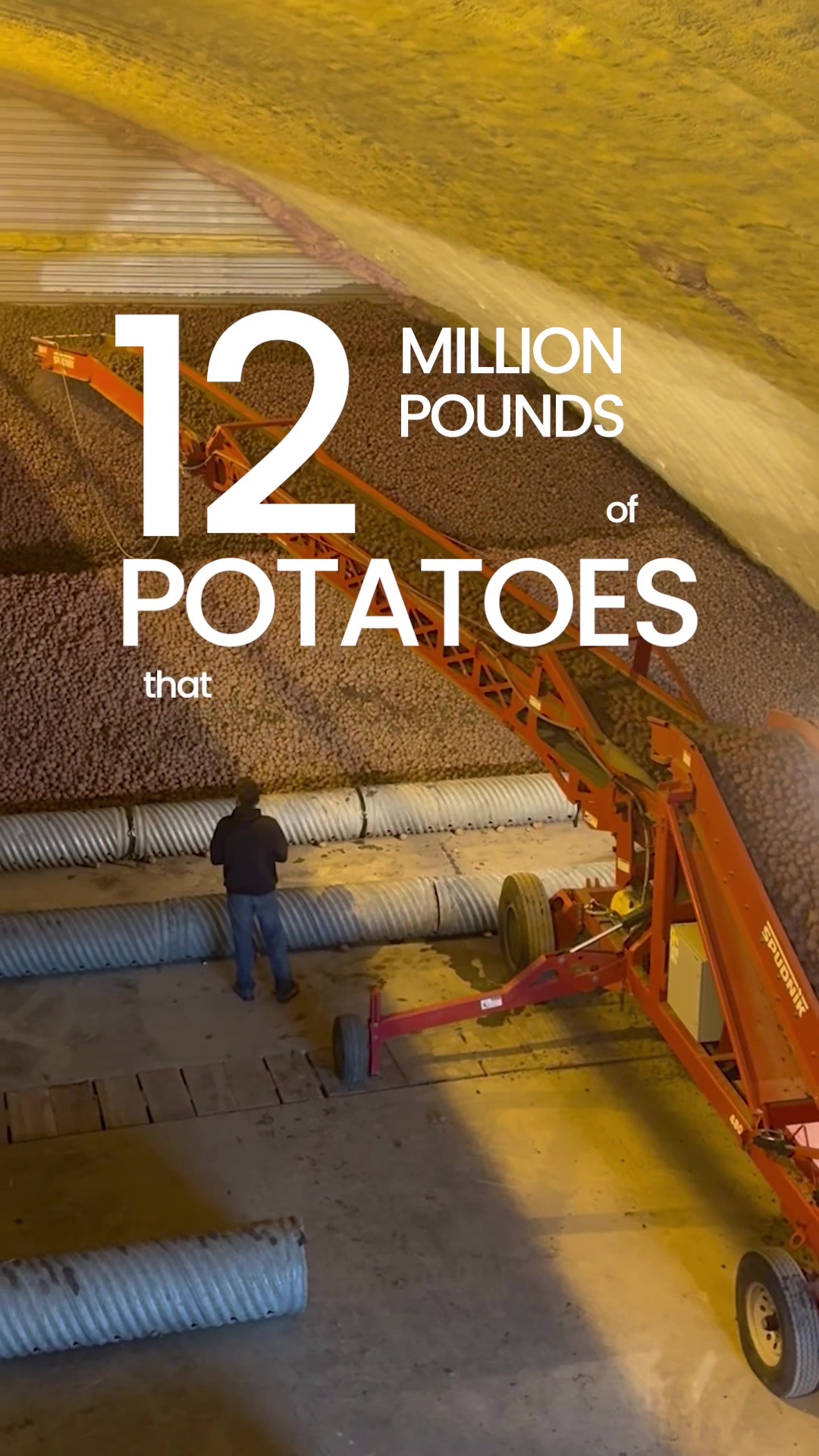 @Potato Ty