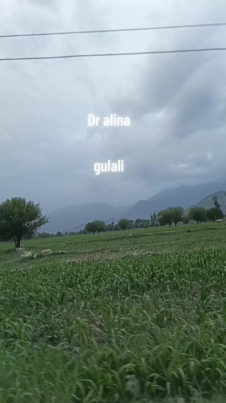 @ALINA