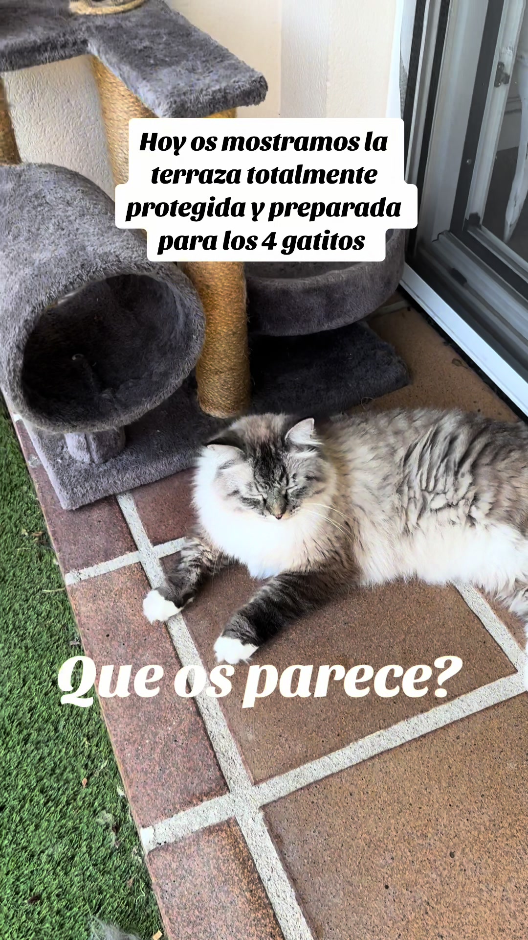 @Ganchito y su tropa