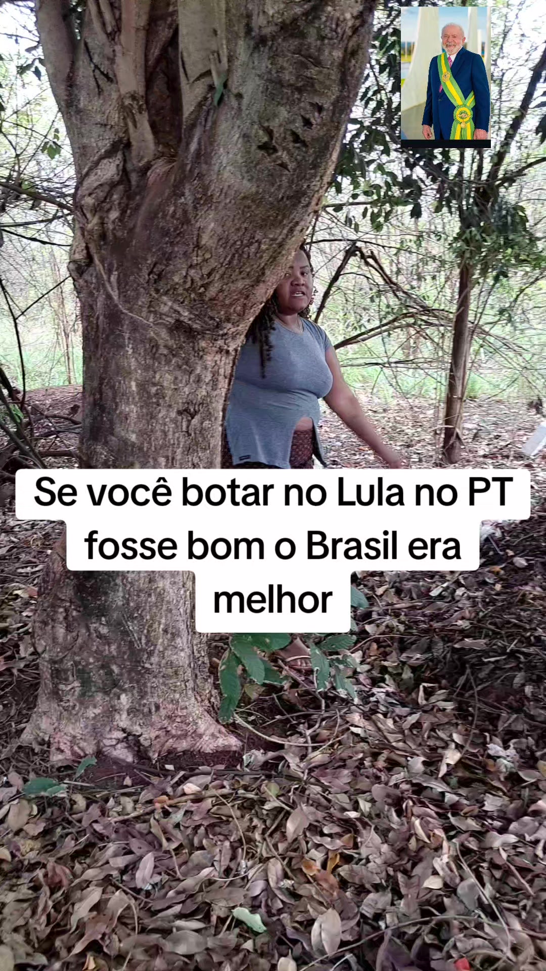 @gata jato