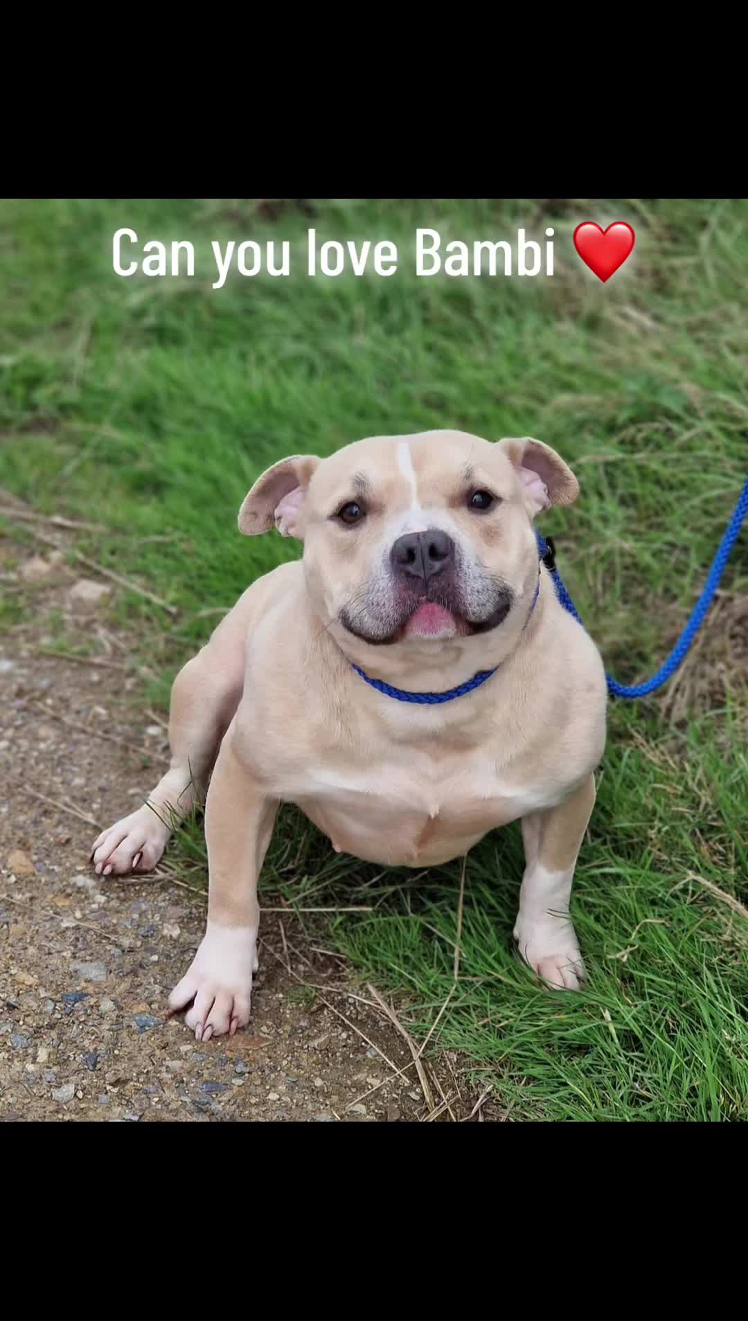 @Greenacres Rescue