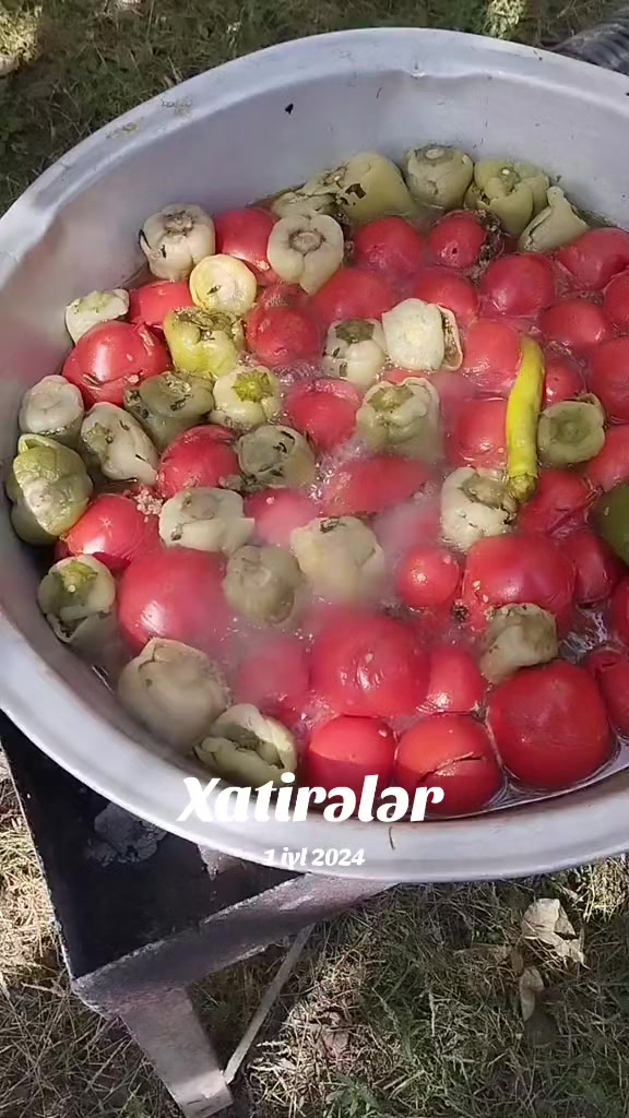 @Elvin Umarov61