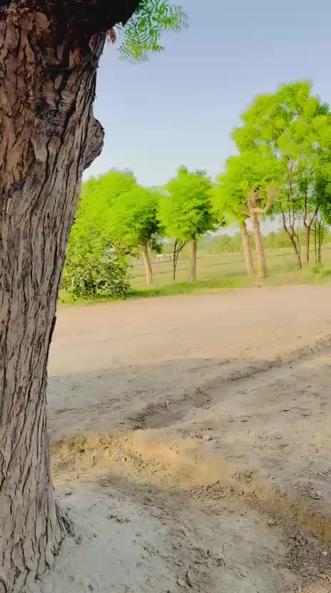 @Safa Baloch