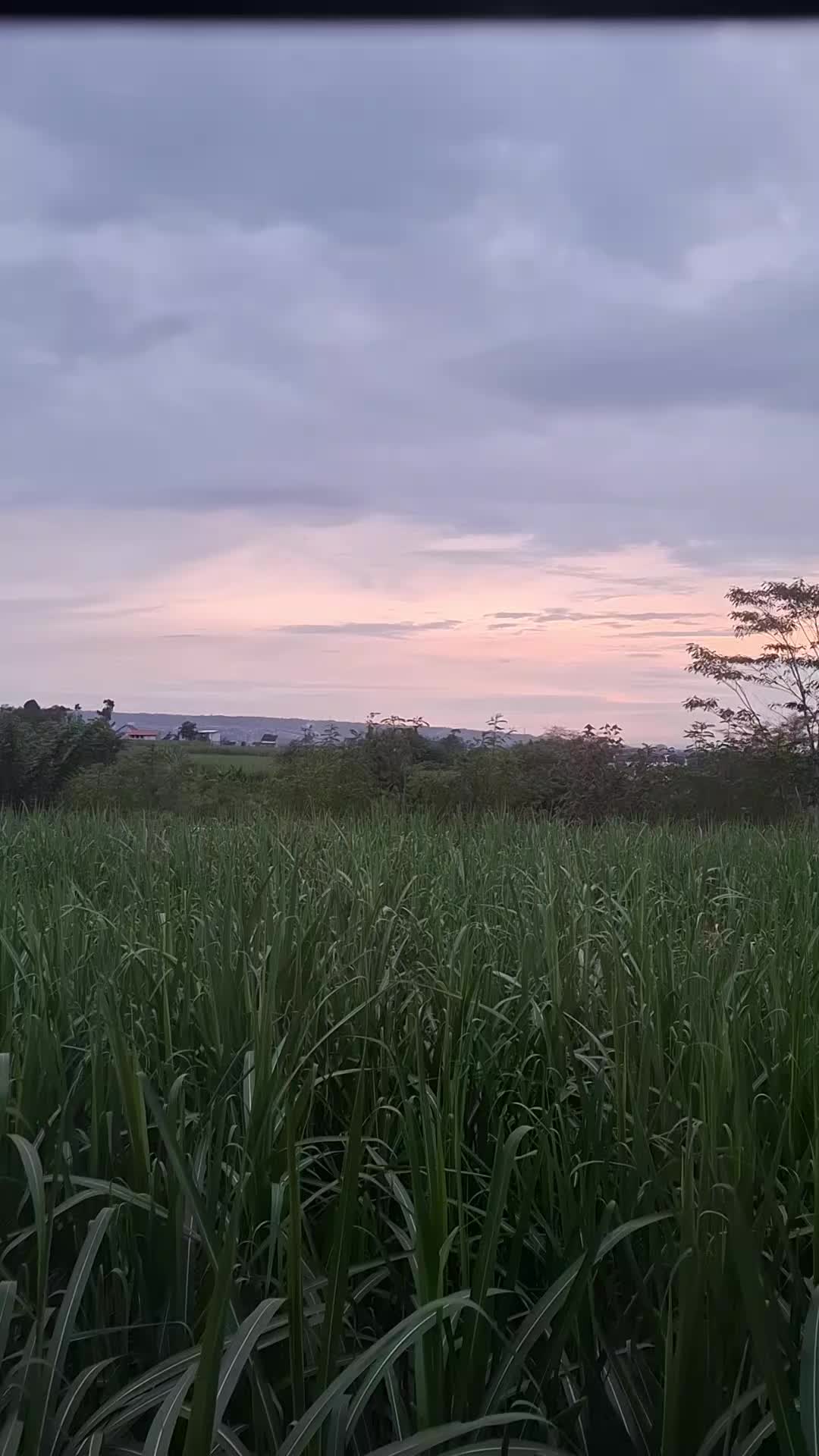@ayulesta308
