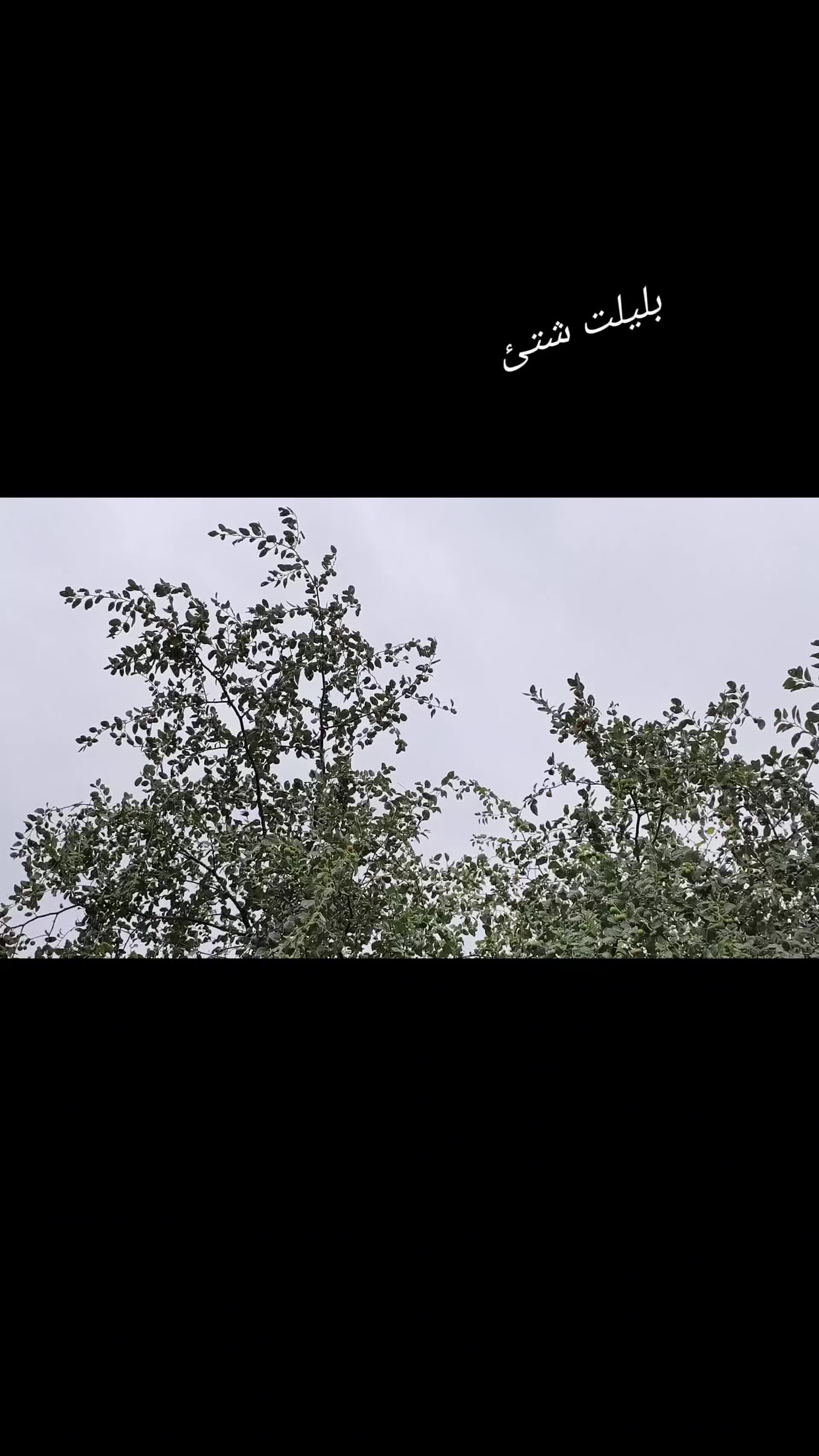 @حـمــو؛ دي،.~2007.~