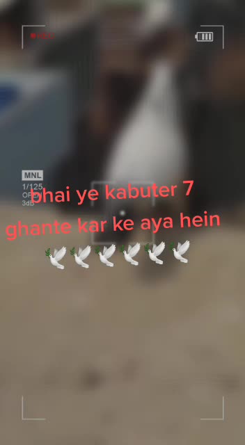@Siraj Warsi