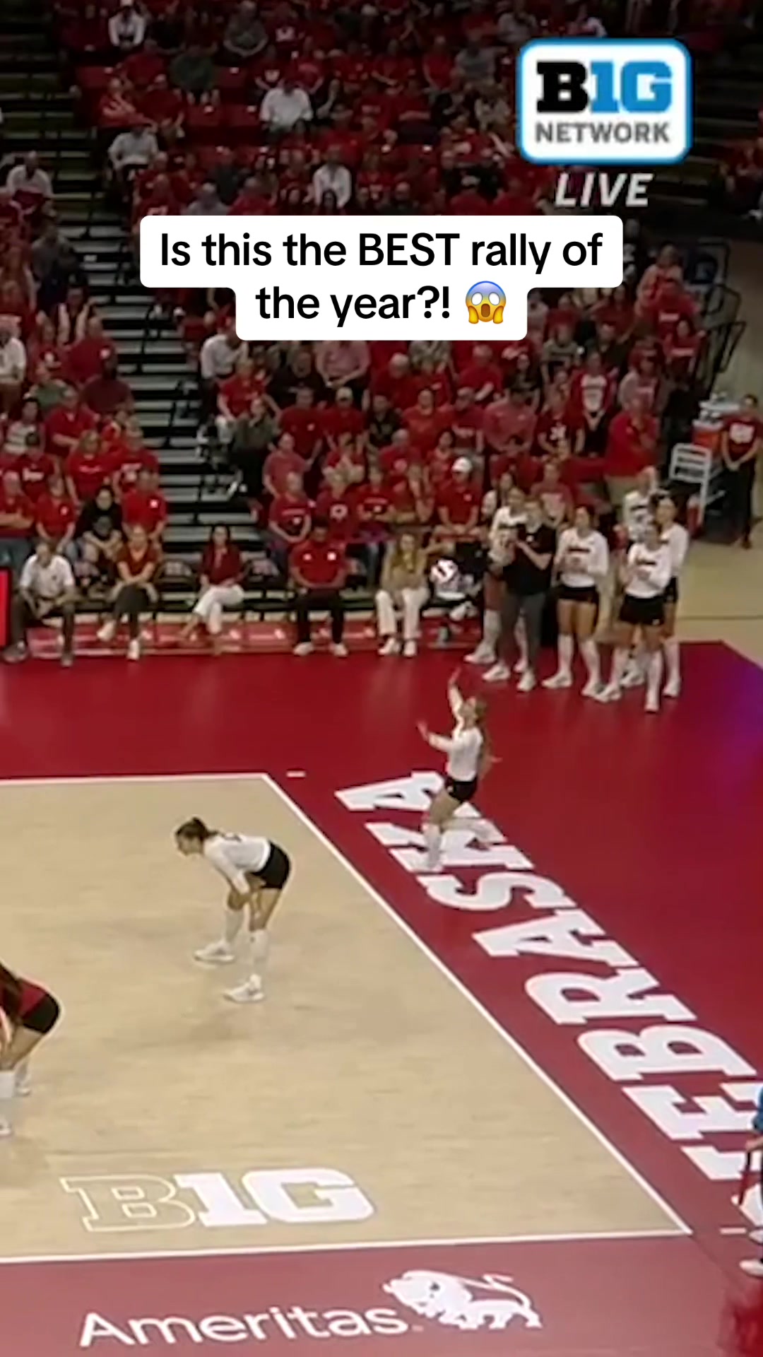 @Volleyball World