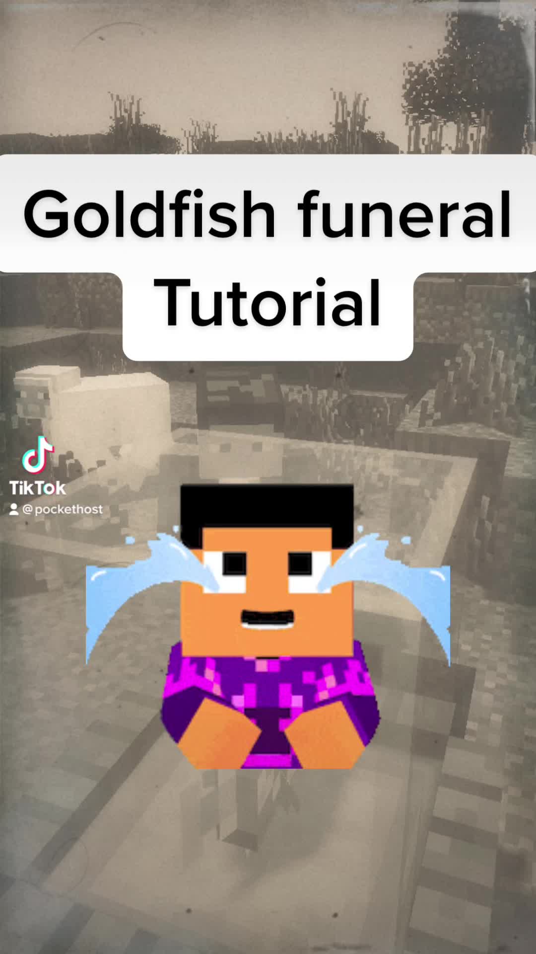 @Pockethost