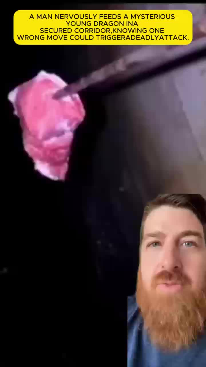 @rtgf69