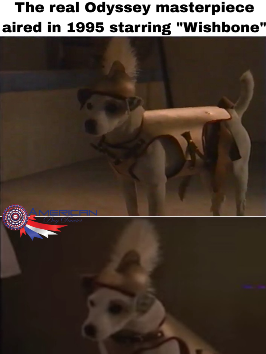 @American Dog Fancier
