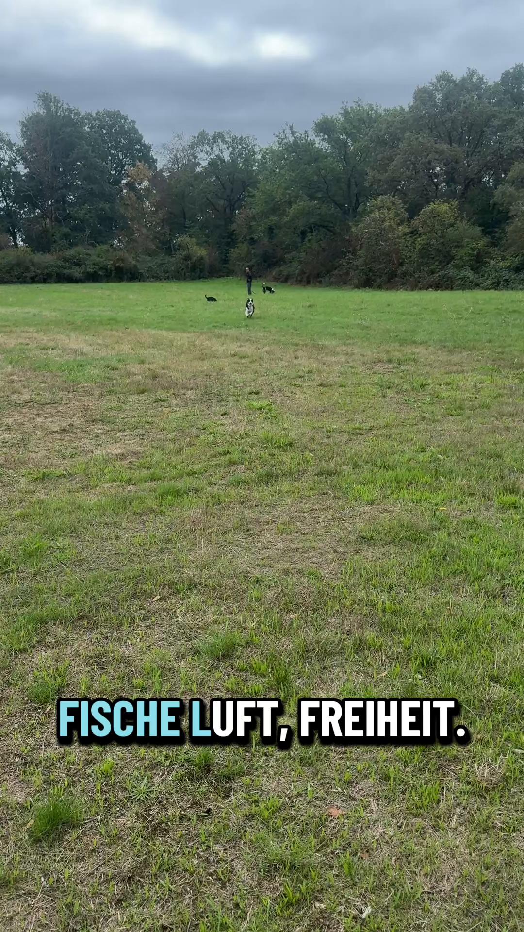 @🐕Di Ana🐕