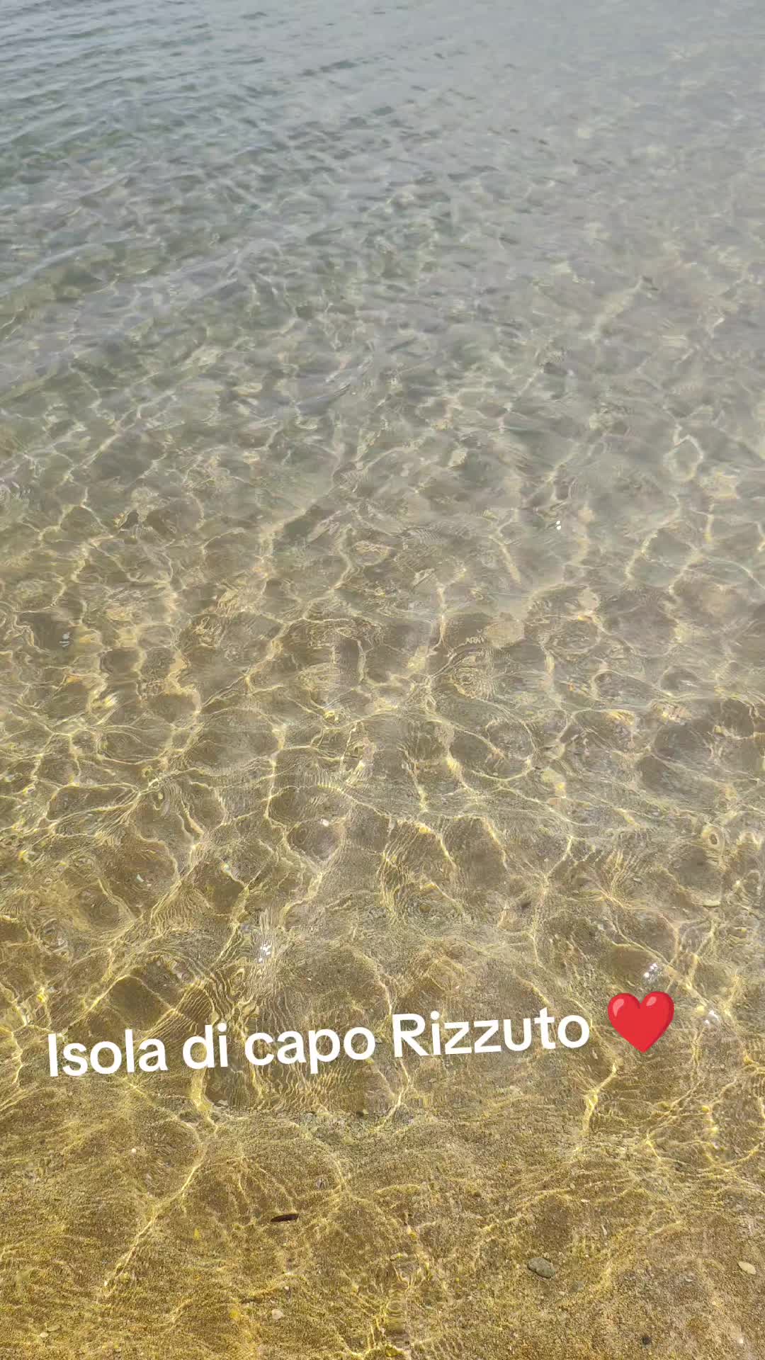 @morelli pina