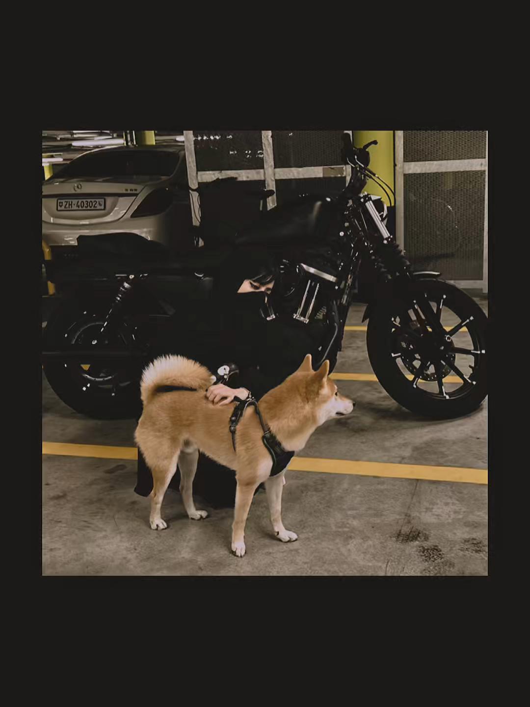 @🐎 Eman Thani 🏍️